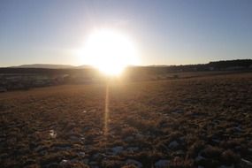 meadow at sunset