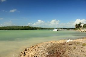 tropical coast for a great holiday