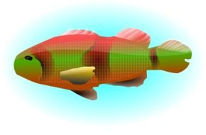colorful lake fish drawing