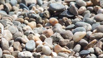 pebbles and stones on the beach of different sizes