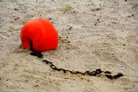 buoy with a long chain in the sand on the beach