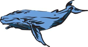 whale blue mammal drawing