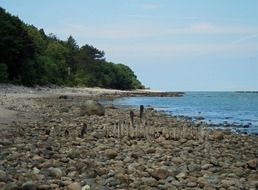 round stones on the shore of the Baltic Sea