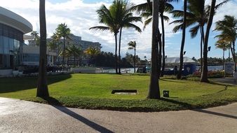 puerto rico tropical island