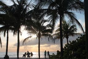 tropical beach at sunset