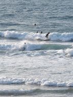 surfers in the white foam of the ocean