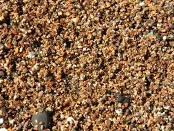 small wet stones on the beach