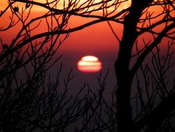 red evening sunset