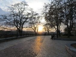 paving stones in the park