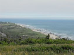 vineyards near the sea