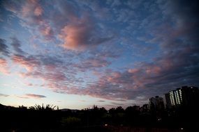 pink clouds in the sky at dusk