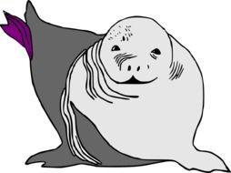drawing of a sea lion on a white background