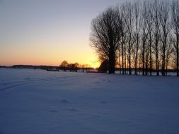 winter sunset in nature