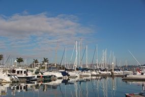 white boats in the sea harbor