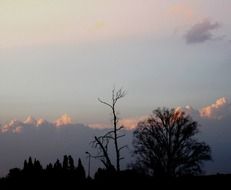 charming pink sky at sunset