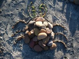 figure of a bug made of stones