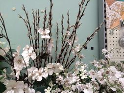 winter bloom