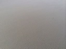 gray sandy beach close up
