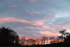 clouds with orange glow over the trees