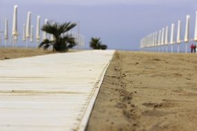 wooden flooring on the way to the beach