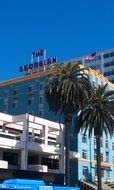 photo of palm trees near hotel in santa monica