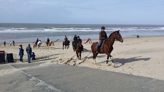 picture of the people on beach in oostkapelle