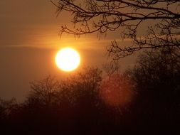 white sun on the orange sky in the evening