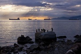 ships in the ocean at dusk