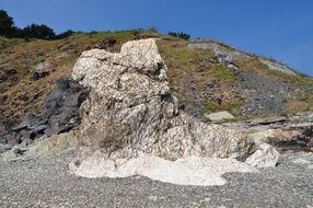 fossil rocks in summer