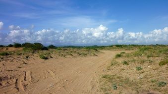 tire tracks on sand beach under scenic sky