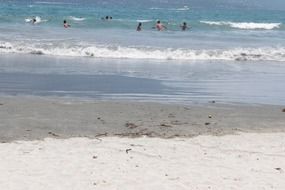 people swimming in the sea