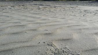 sand on the beach during the wind