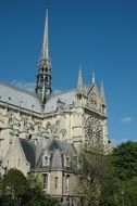 cathedral paris