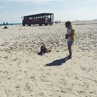 child with puppy on the beach on a sunny day