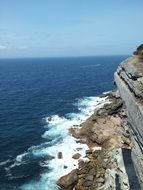 coastal zone near the cliff, australia