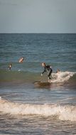 Surfer on the beach