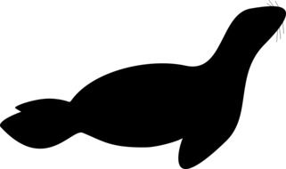 black silhouette of a large seal