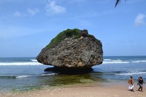 big stone on the beach on barbados island