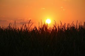 sunset in Germany