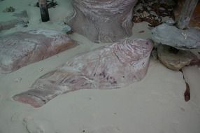 rock formations on the beach