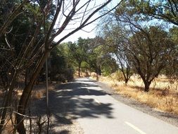 asphalt road in the tropics