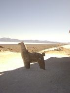 sculpture of Salinas in Northern Argentina