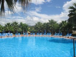 loungers and palm trees around the pool in Hotel Dolcestate