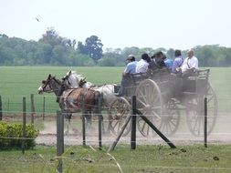 tourists in horse driven carriage in countryside, argentina