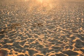 beach sand footprints