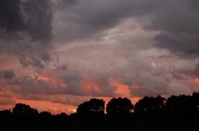 fluffy clouds at sunset over black trees