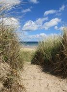 Dunes in Northumberland