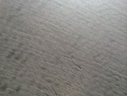 sandy beach on the coast