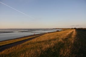 green beach by the sea