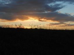 colorful sunset over the meadow